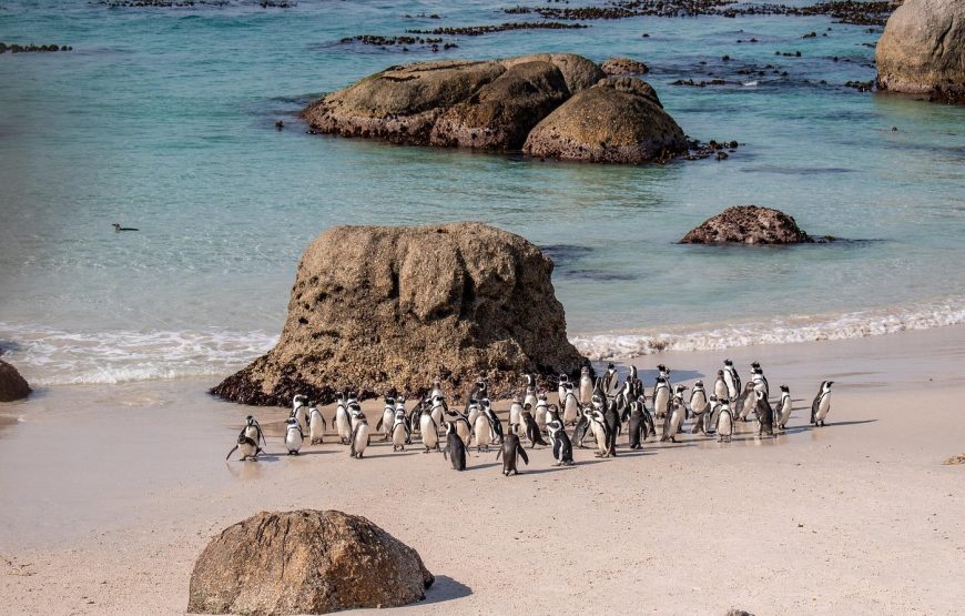 Cape Town – Summer Special